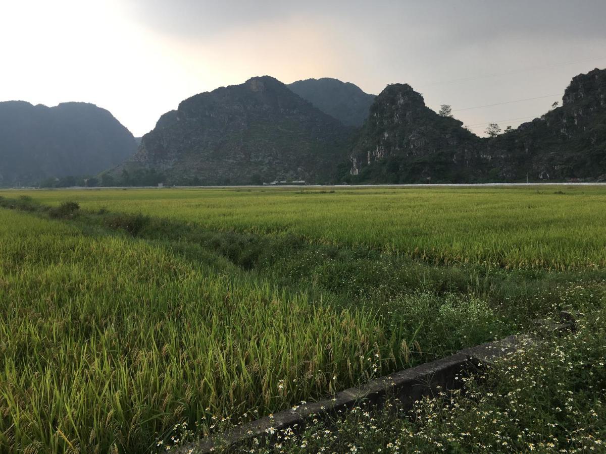 Limestone View * Ninh Bình